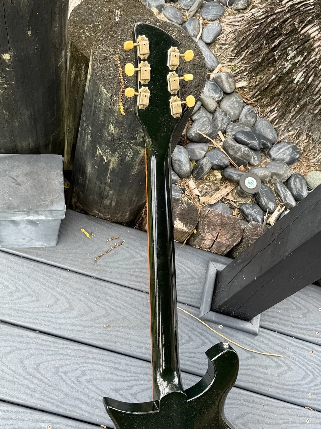 Picture 9 of 24