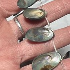 Abalone Shell Briolette Strand 25-35mm Multi-hue — photo 6