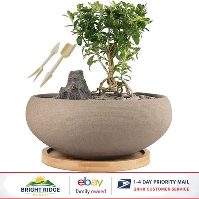 Unglazed Ceramic Bonsai Pot with Bamboo Tray for Indoor Outdoor Succulents