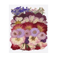 35 Pcs Dried Pressed Flower Leaves Bulk for Resin, Light Purple