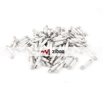 90 Pcs 250V 15A 6mmx30mmCylindrical Ceramic Tube Fuses Link White   Tone Kd *bn