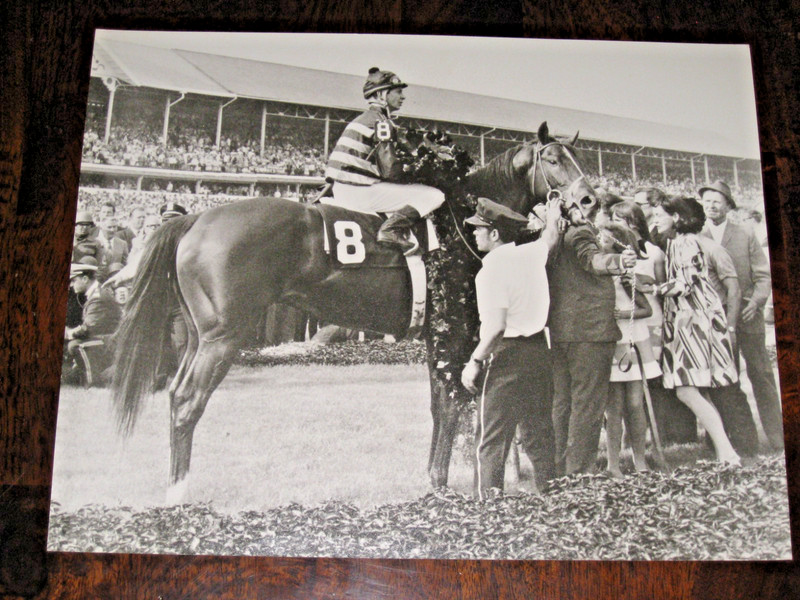 11 X 14 -- Photo of Majestic Prince in the 1969 Kentucky Derby Winner Circle