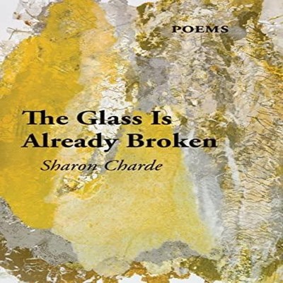 THE GLASS IS ALREADY BROKEN Sharon Charde Paperback 1st World Pub