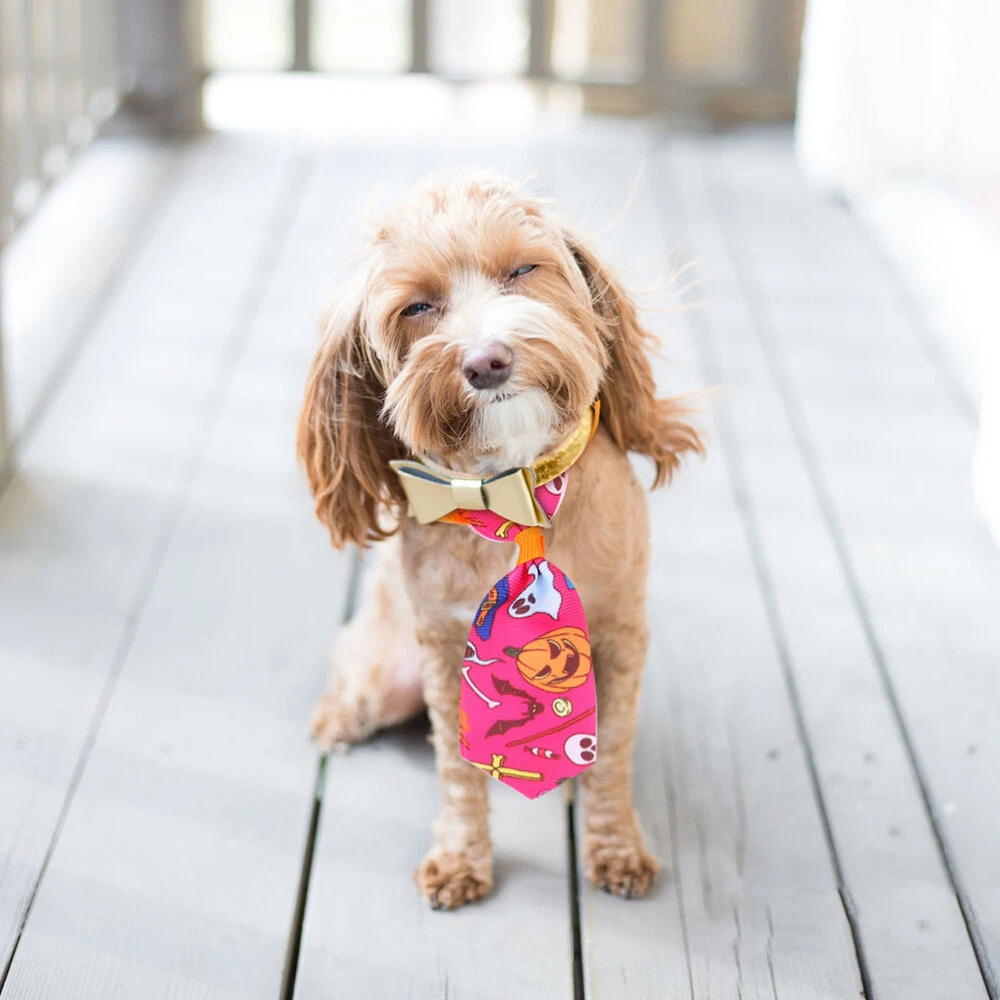 Dog on sale halloween tie