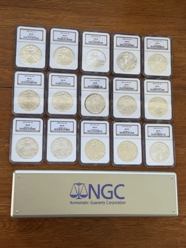 NGC Graded MS69 American Silver Lot of 15 with Box 🇺🇸