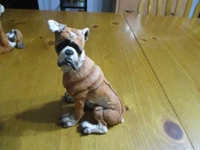 A Breed Apart Boxer Textured Figurine #70013,Country Artist Willitts Design,