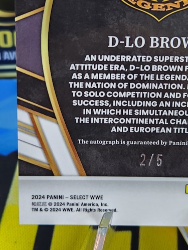 2024 Panini Select WWE Signature Selections D-Lo Brown Gold Ice Auto 2/5 SL-DLB - Picture 9 of 10