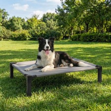 Elevated Dog Bed Raised Cooling Dog Cot for Large Dogs, Portable Indoor  Out...
