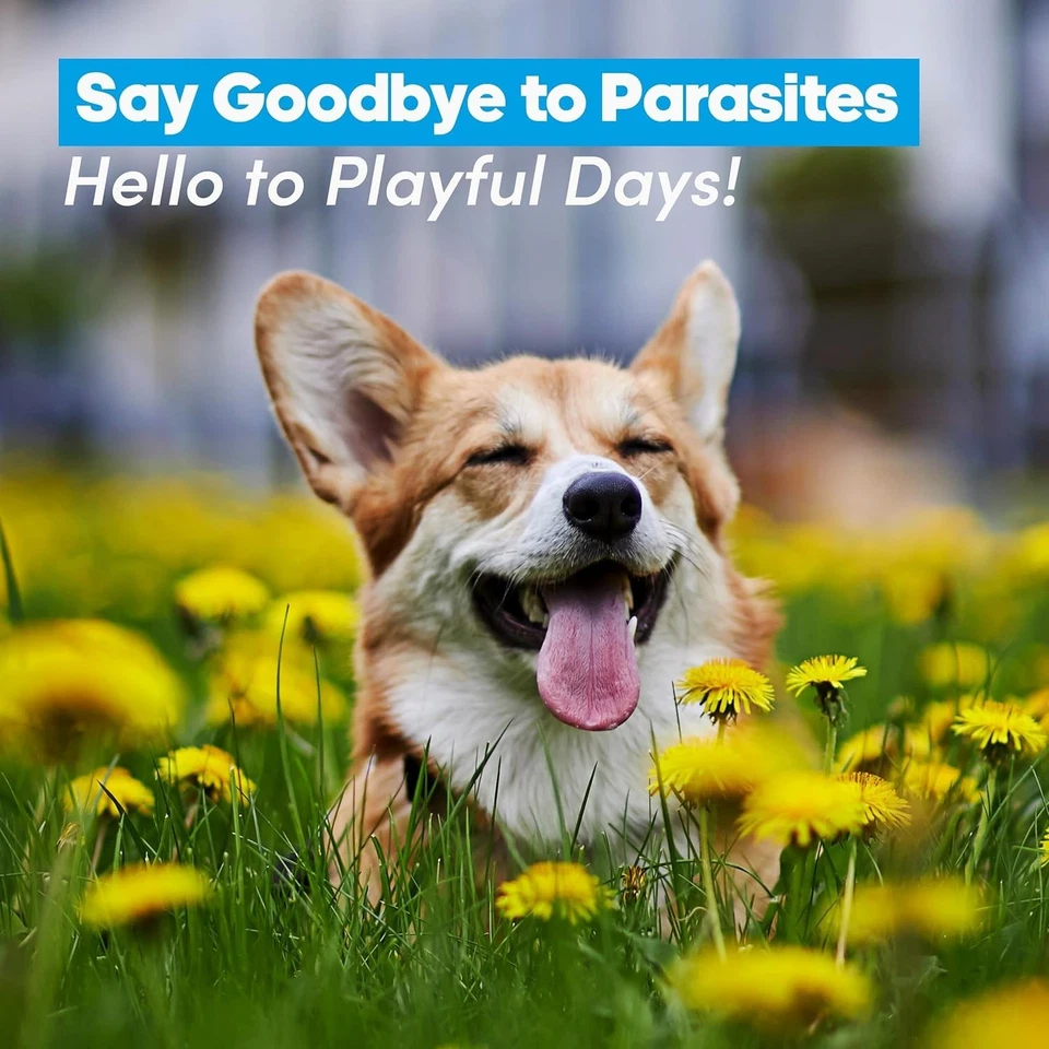 Tapeworm Cleanse for Cats and Kittens Dogs Pet Dewormer Supplement Pumpkin Seeds - Image 3 of 4