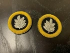 Civil War U.S. Infantry Officer Lt. Colonel Subdued Round Insignia, NEW Pair