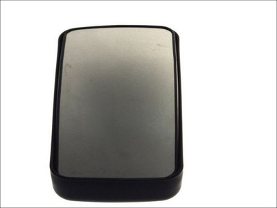 PACOL DAF-MR-008 Exterior Mirror for DAF,RENAULT TRUCKS