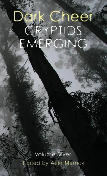 Atlin Merrick | Dark Cheer | Buch | Englisch (2022) | Gebunden-image