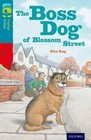 Oxford Reading Tree Treetops Fiction: Level 9 More Pack A: The Boss Dog of Blossom Street by Rita Ray (Paperback, 2014)
