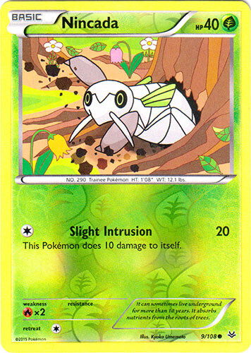 Nincada