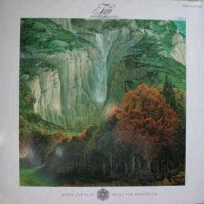 Various - Tiefe - Infinite Feelings LP Comp Vinyl Schallplatte 139386