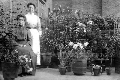 ryy-43 Nurse Fowden's Garden, Thrush Street, Walworth, London. Foto