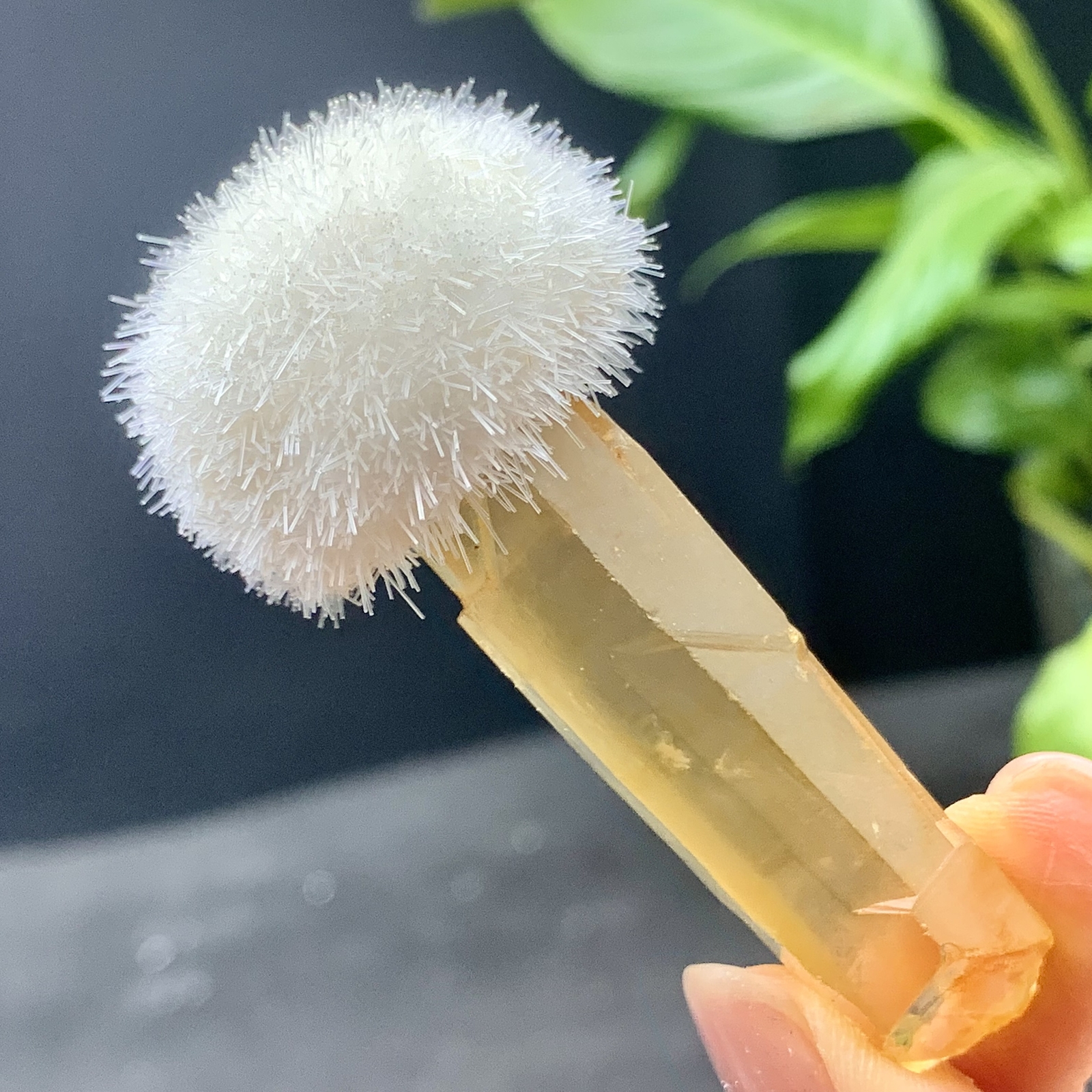 25G Natural Citrine Calcite Crystal Quartz Healing Energy Ore Cluster Mineral Specimen