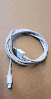Original Apple Ladekabel MD818ZM/A für iPhone 7,12