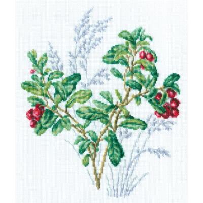 RTO Kreuzstich Set ''Preiselbeere'', Zählmuster, 20x24cm