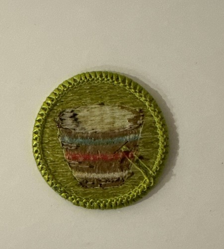 Parche insignia mérito BSA Boy Scouts BASKETRY actual, buen estado tipo H - Imagen 2 de 5