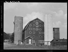 Photo:A dairy farm two miles north of Spencer, New York