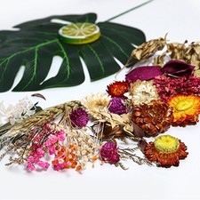 Gemischter Trockenblumenkasten Allzweck DIY Harzherstellung und Kerzenbasteln