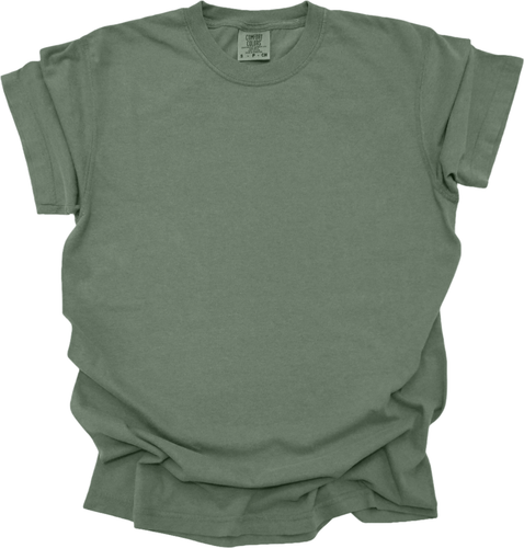 Blank Comfort Colors 1717 Women’s T-Shirt (Multiple Colors) - Picture 88 of 124