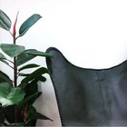 Bild 6 von 8