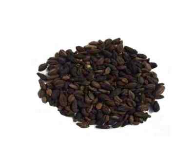 Terminalia Chebula Black Myrobalan Kali Harad Himej Fruit Small Choti Harar-100g