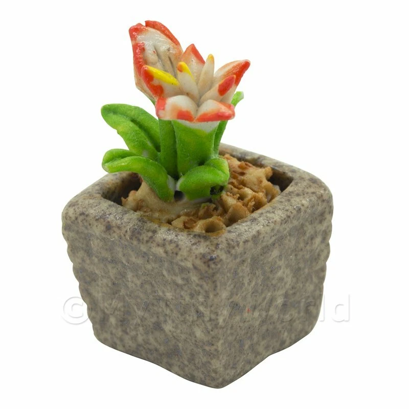 Miniature Fait Main Double Couleur Céramique - Photo 1/1