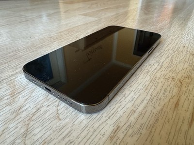 iPhone 12 Pro Max 256gb Grau