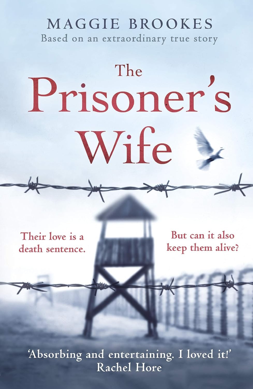 The Prisoner's Wife: based on an inspiring true story - Image 6