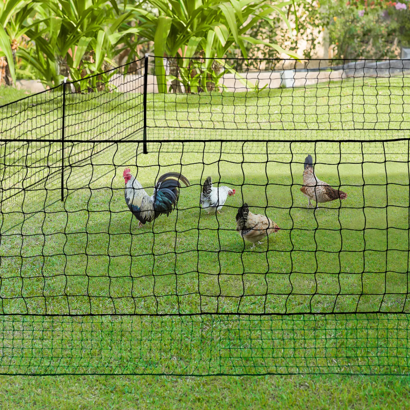 Filet à poules 50m avec porte et 15 piquets double pointe vert - 2