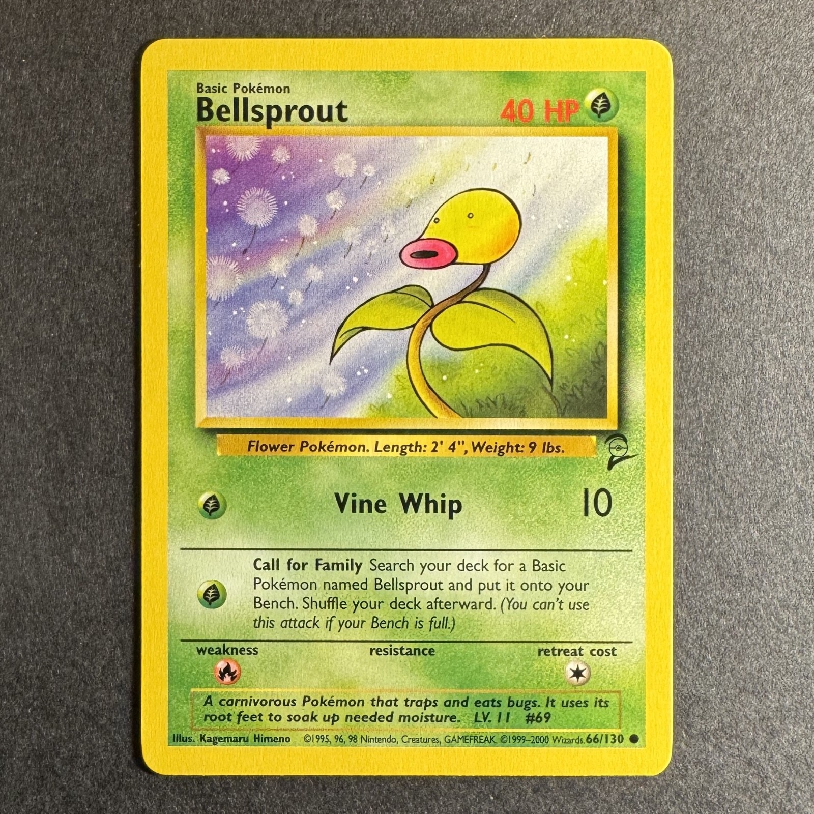Bellsprout - 66/130 - Base Set 2 - Pokemon - Common - NM