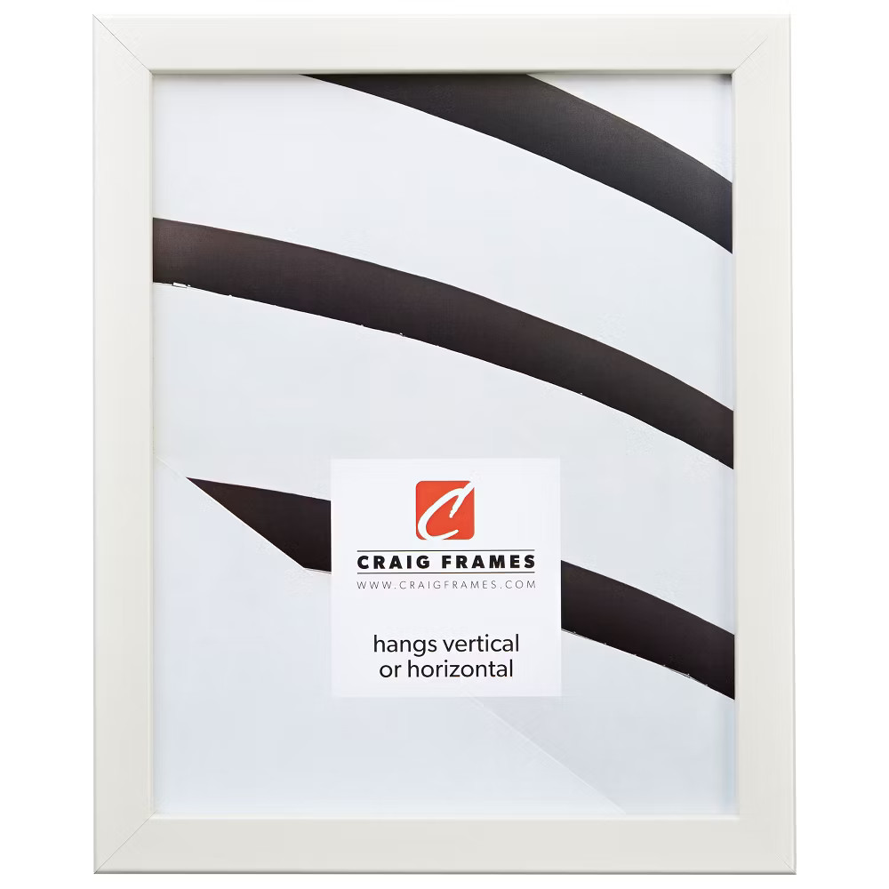 Craig Frames 14 x 18 Inch Picture Frame Blanco White Colori 75 5590₽