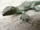 Foto 6 di 9
