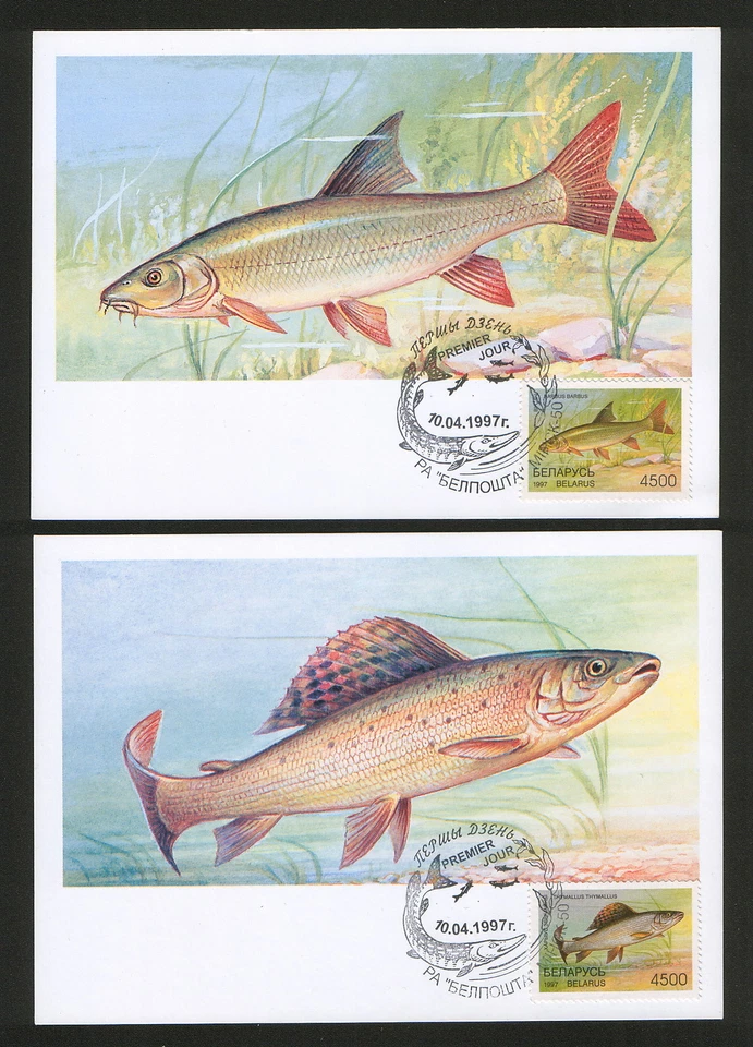 BELARUS-5 MC - FAUNA-FISH - 1997. - Image 2 of 3