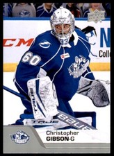 2020-21 Upper Deck AHL #111 Christopher Gibson