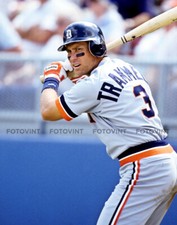 ALAN TRAMMELL Photo Picture DETROIT TIGERS Baseball Print 8x10 11x14 16x20 (AT2)
