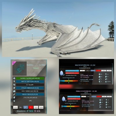 ICE WYVERN WHITE #233 PAIR EGGS (M/F) TOP STATUS ARK ASCENDED PVE PC/XBOX/PS5
