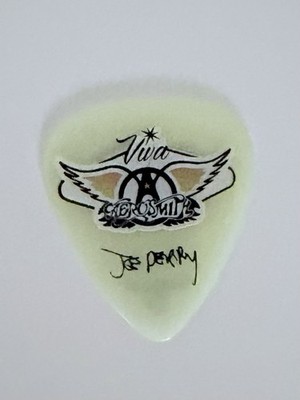 Joe Perry Aerosmith Guitar Pick Back In The Saddle 2022 Glasgow Tour Memorabilia