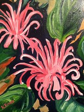 Kristi Jones Brazilian Plume Flower Pink and black Oil Impressionism Painting 