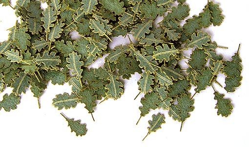 Plus Model 252 - 1:35 Accessories Green Oak Leaves