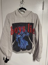 Boys Lie Gray Graphic Hoodie XS/S Blue Flame Angel Crop Sweatshirt