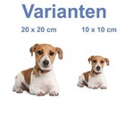 Bild 4 von 7