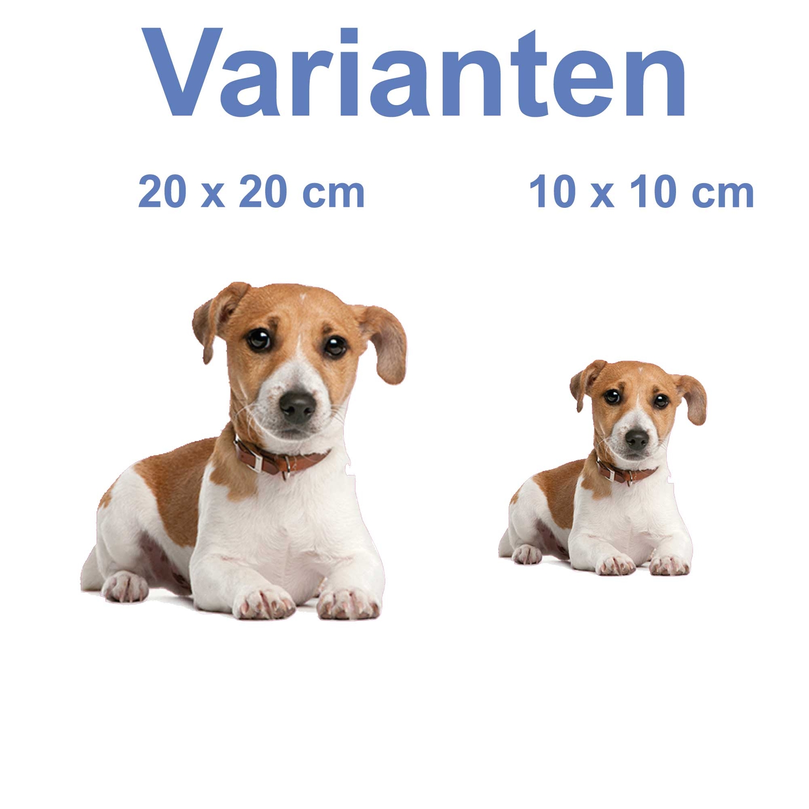 Bild 4 von 7