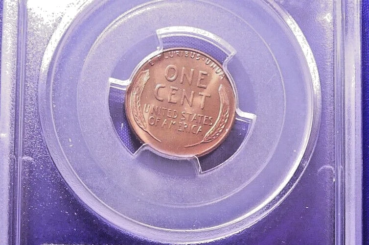 1955 1C RD Lincoln Memorial Cent-PCGS #2824 Grade MS65RD--195-1 - Image 4 of 4