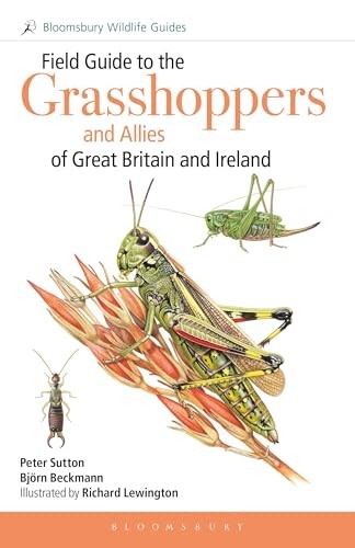 Field Guide to the Grasshoppers and Allies of Great Britain and Ireland: Grasshoppers, Crickets, Earwigs, Cockroaches, Mantids and Stick-insects (Bloomsbury Wildlife Guides) - Image 7