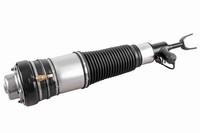 Luftfederbein Vorne Links Vemo V15 50 0001 1 FÜR Audi