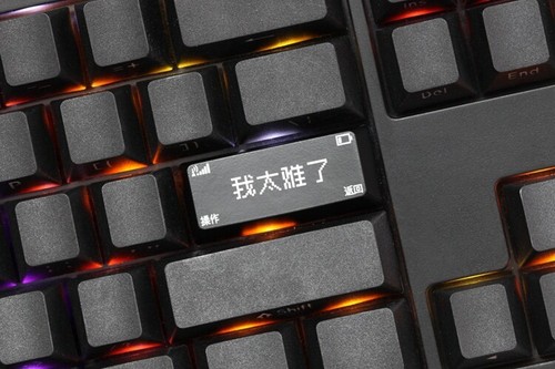 NOVELTY SHINE-THROUGH KEYCAP BACKSPACE ENTER ABS OEM PROFILE WO TAI NAN LE 我太难了 - Picture 5 of 9